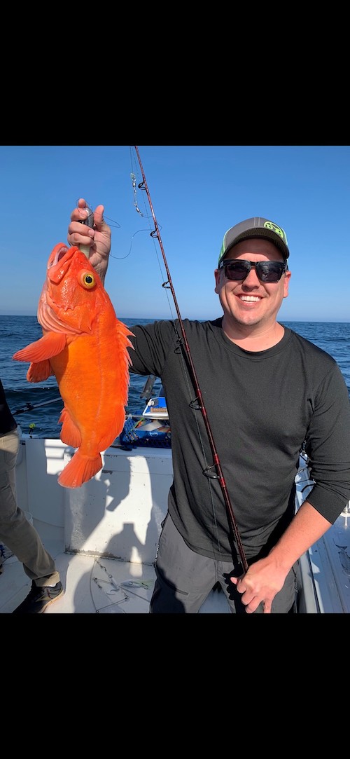 Yelloweye Rockfish Catch Yelloweye Rockfish Catch
